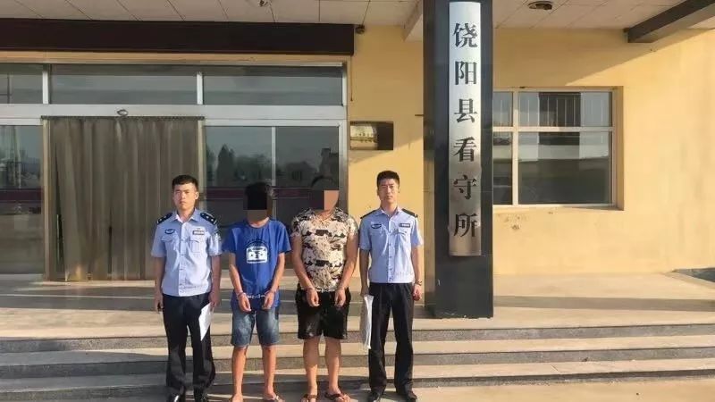 饶阳最新刑事案件深度解析