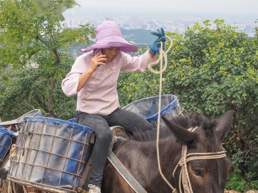 马帮孩子的下载之旅与成长之路