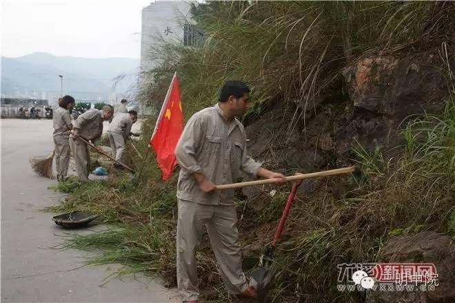 水口地区最新新闻报道综述