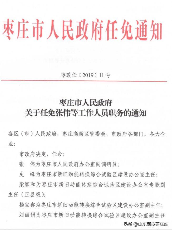 枣庄市体育局人事任命揭晓，引领体育事业迈向新篇章