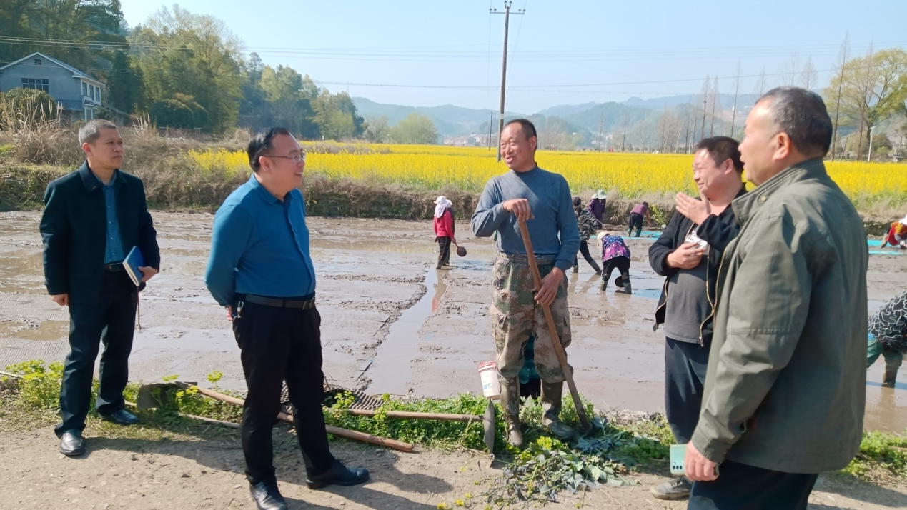 石台县农业农村局推动农业现代化，助力乡村振兴新动态