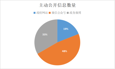 水城县数据和政务服务局最新发展规划深度探讨