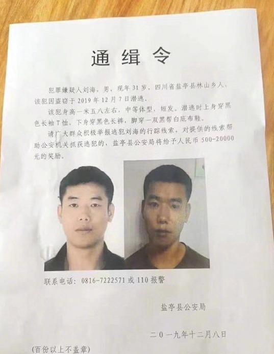 盐亭县公安局推动警务现代化项目，提升社会治安水平