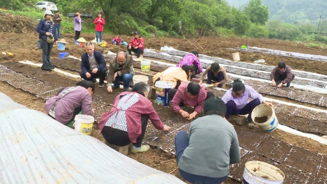 说好的永远只是一个背影り 第2页