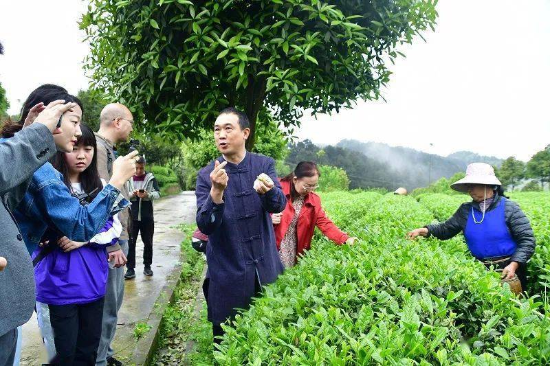 芝龙村展现新面貌，引领时代风尚，最新新闻报道