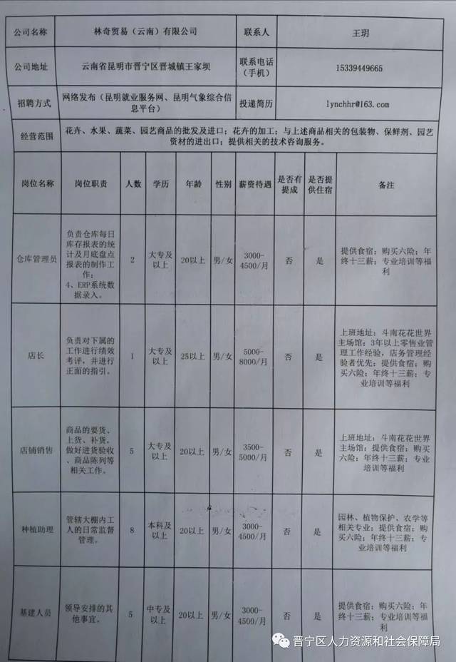 昌宁县数据和政务服务局最新招聘信息全面解析