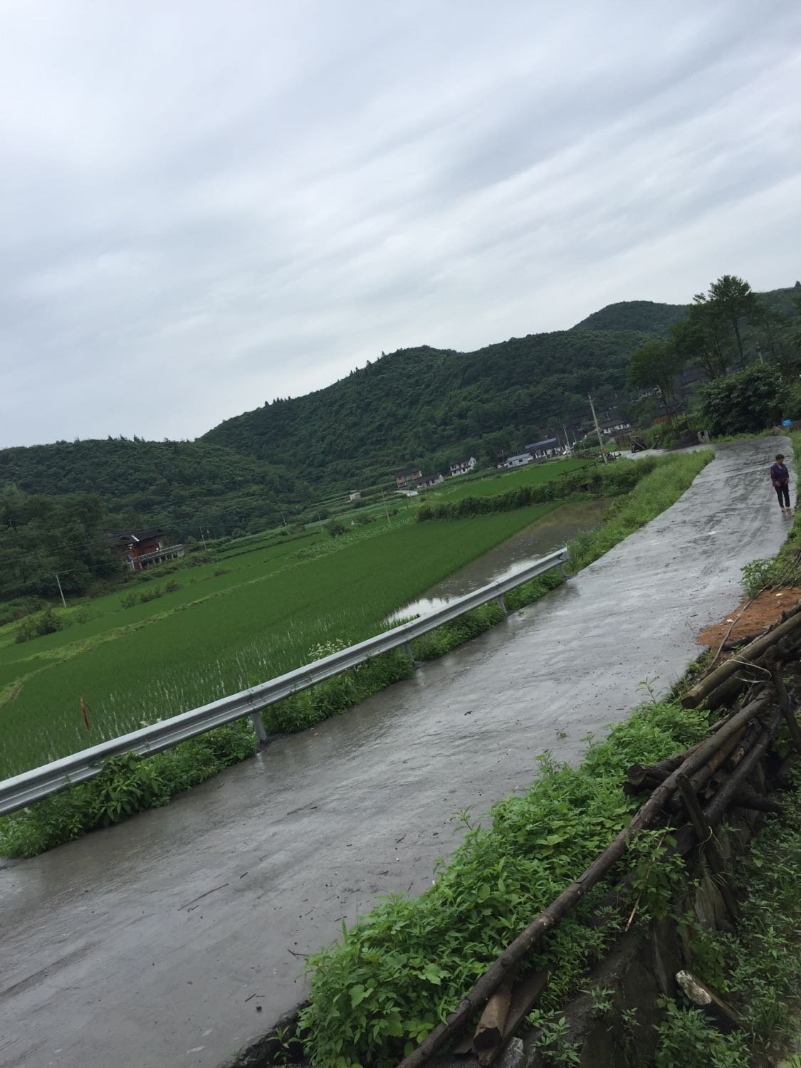 瑚琏村天气预报更新通知