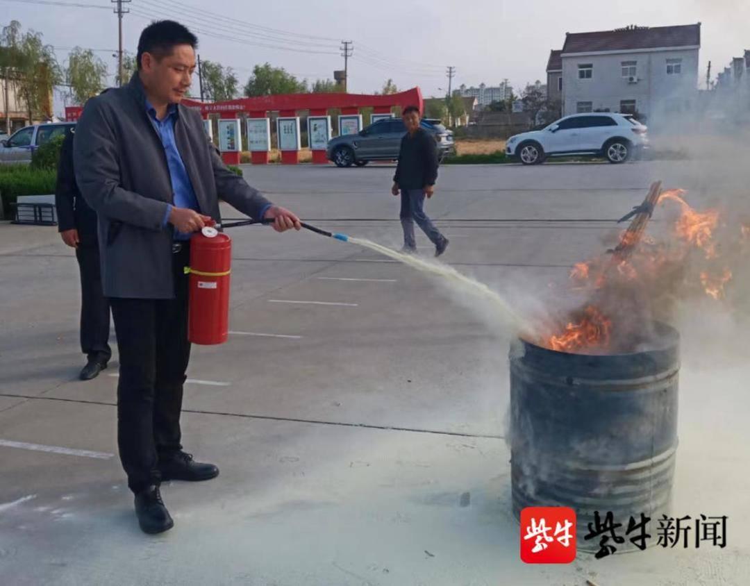 到保镇未来繁荣蓝图，最新发展规划揭秘