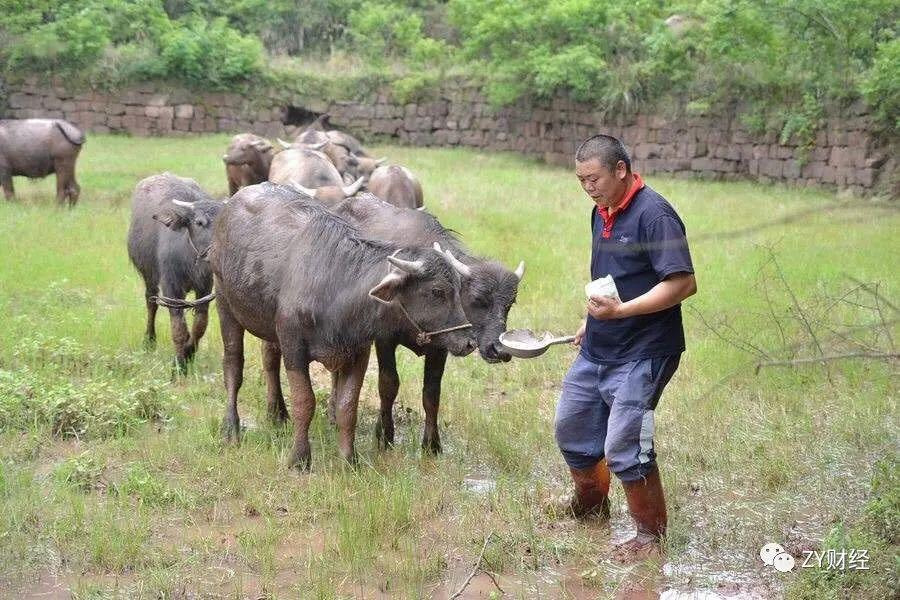 中阳县公路运输管理事业单位招聘启事全新发布