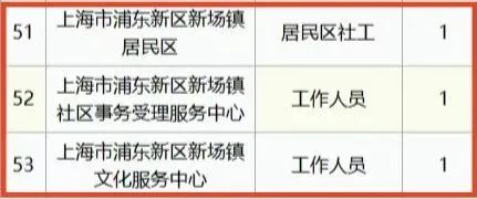 浦东新区统计局最新招聘启事概览