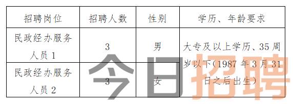 红桥区发展和改革局最新招聘概览