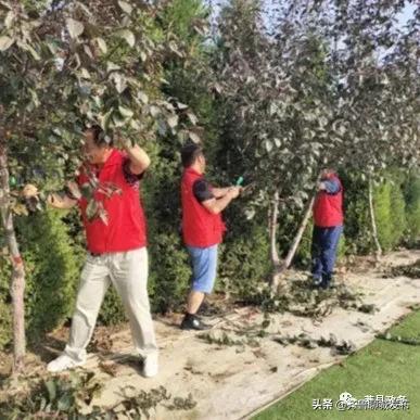 莘县卫生健康局推动健康建设，提升民生福祉最新报道