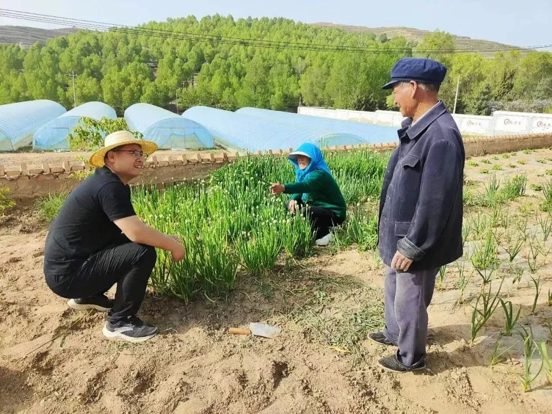 上花岔村委会领导概览，最新领导团队介绍