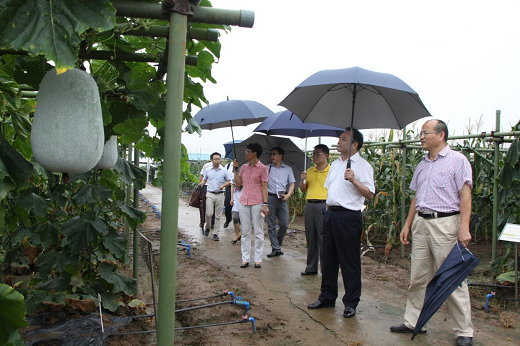 南沙群岛农业农村局领导团队全新亮相，未来展望与农业新发展