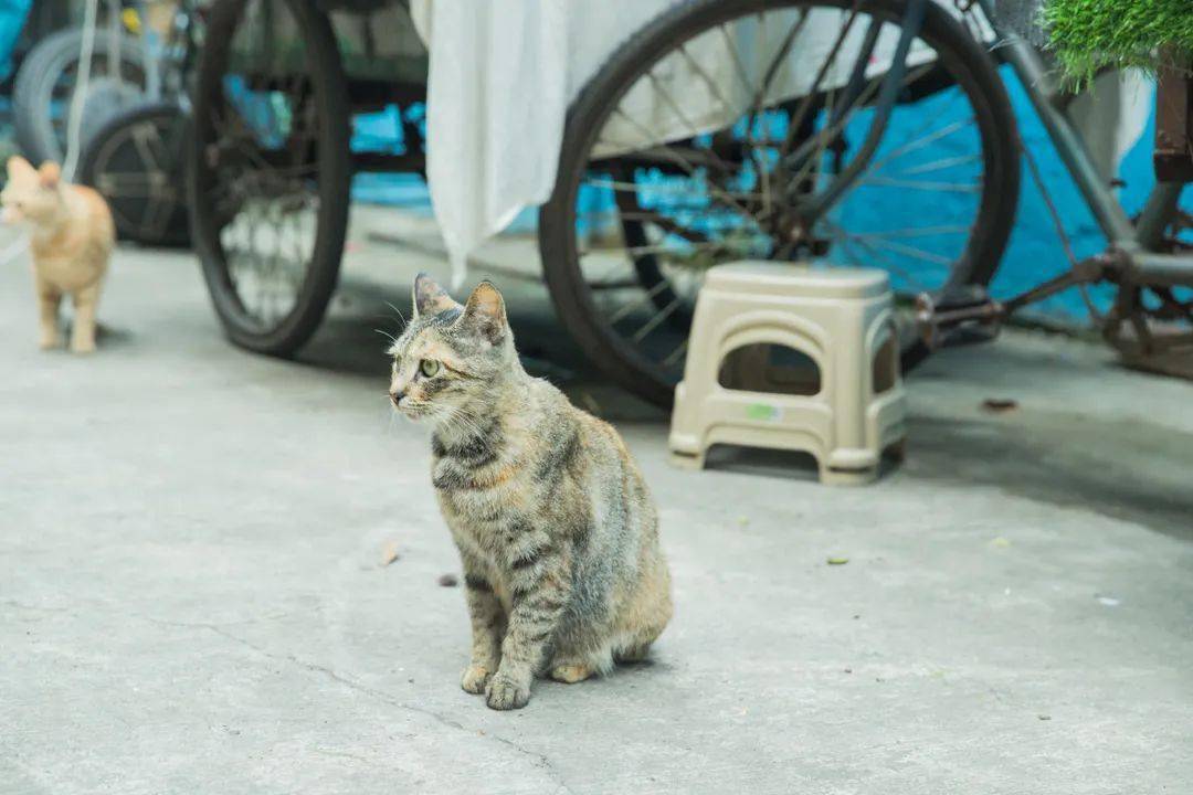 中兴路街道天气预报详解，最新气象信息汇总