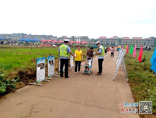 大新庄镇最新交通动态报道