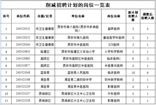 新龙县级托养福利事业单位发展规划构想与实施策略